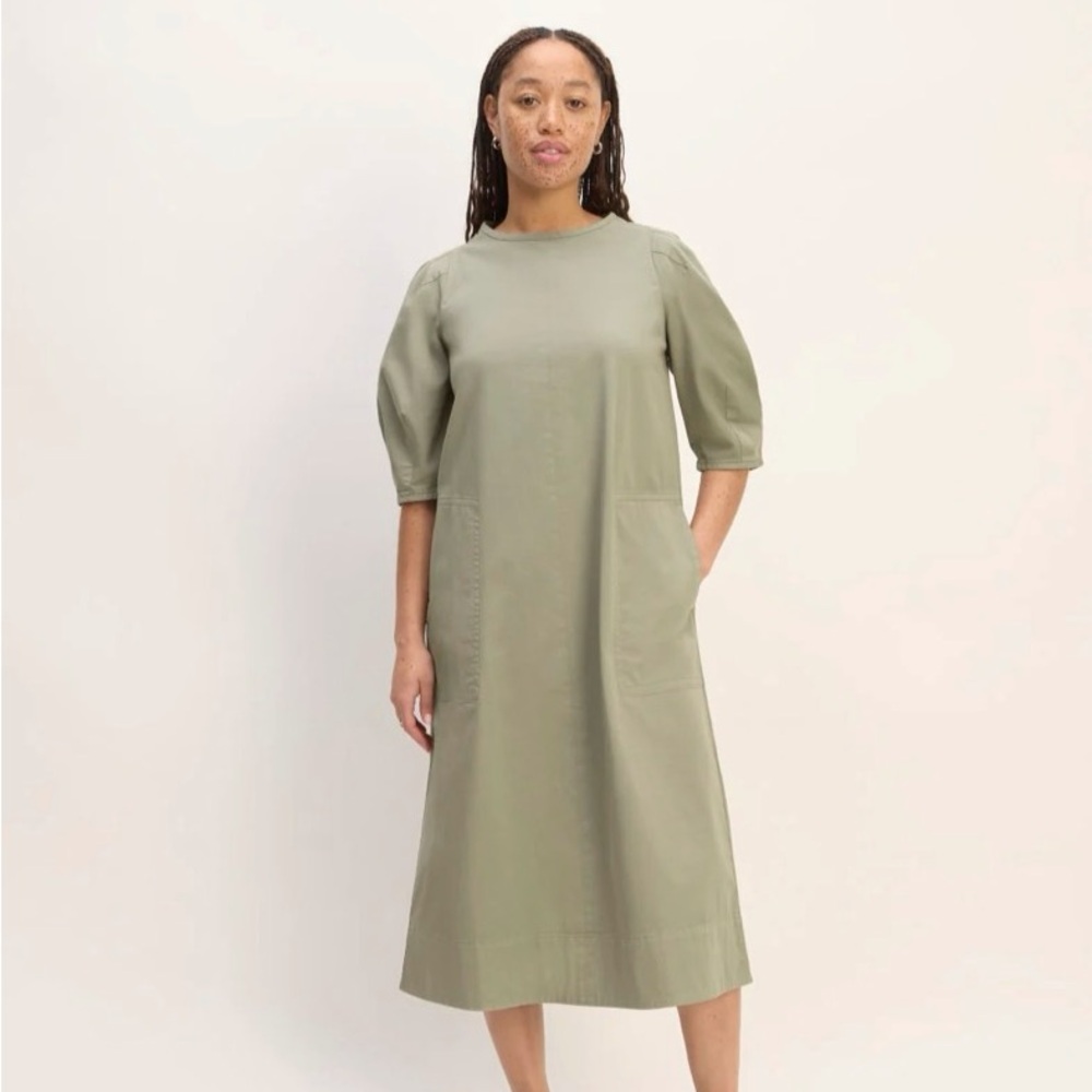 Everlane Midi Dress